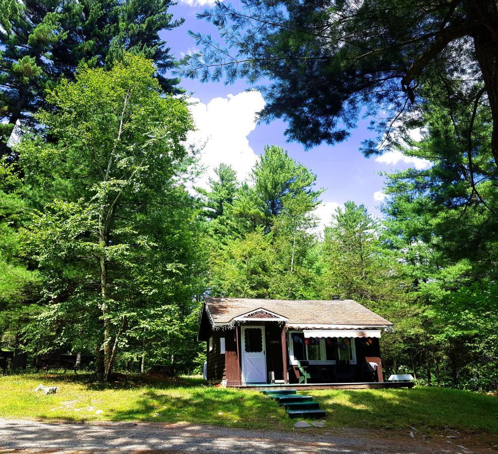 The Wilderness Inn: Chalets Wilmington Exterior photo